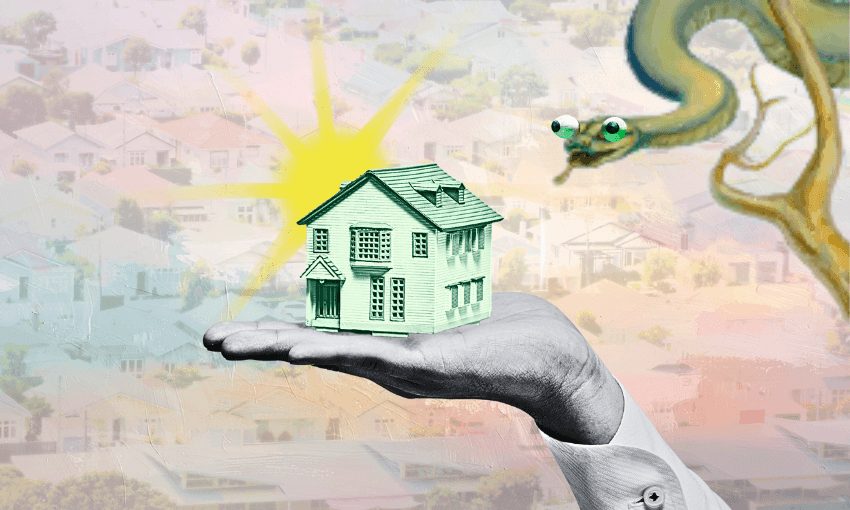 Opinion: New Zealand House Price Expectations Need To Catch Up With The Flat Market