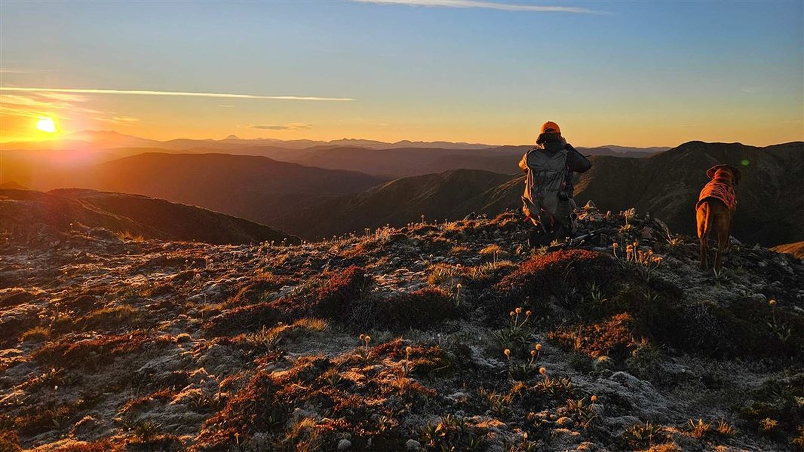 DOC says the National Wild Goat Hunting Competition runs from 1 August to 26 November and is aimed at reducing pressure on New Zealand landscapes.